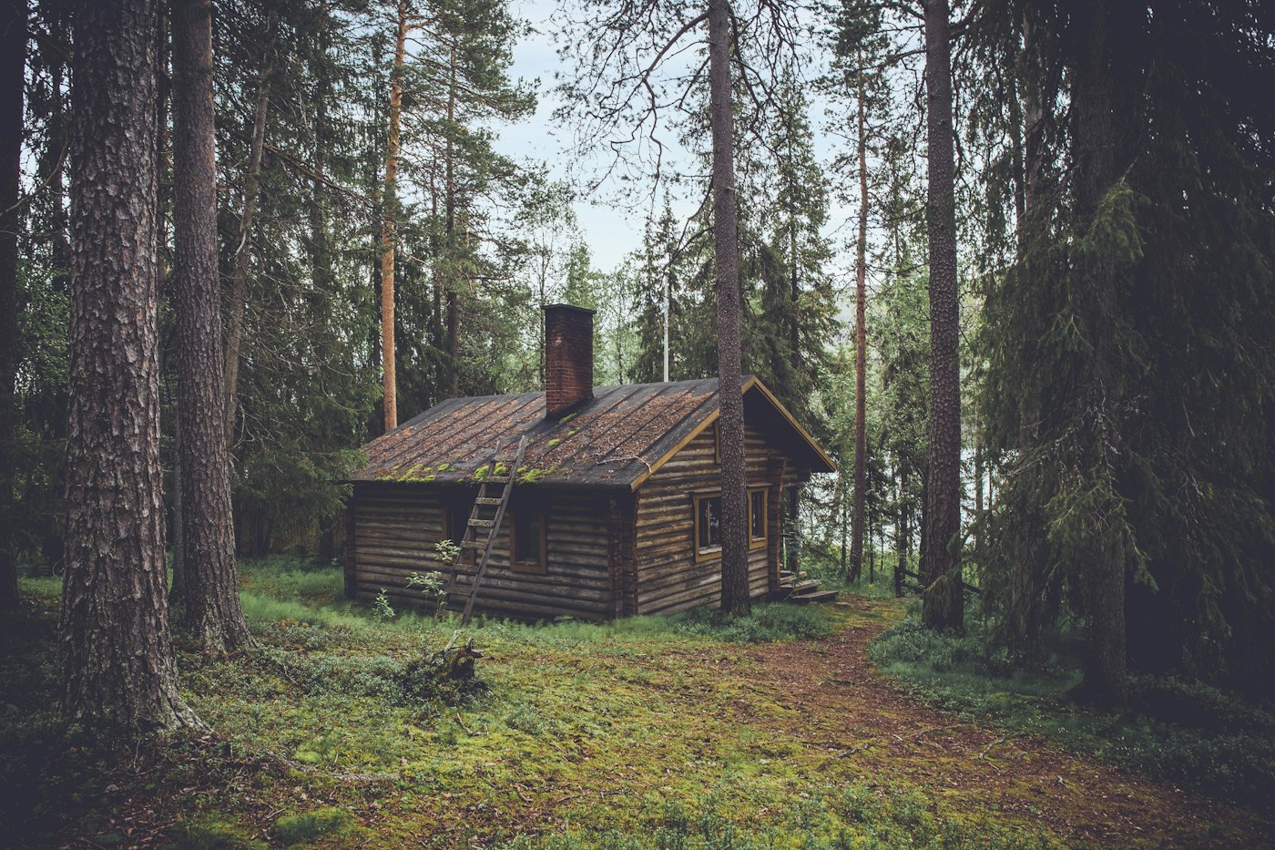 Maison de l'École de Psychanalyse Clinique, ouverte sur la forêt